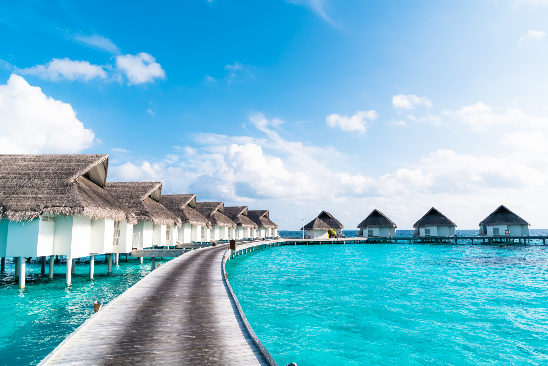 Guests enjoying a beachfront all-inclusive resort with palm trees and pool